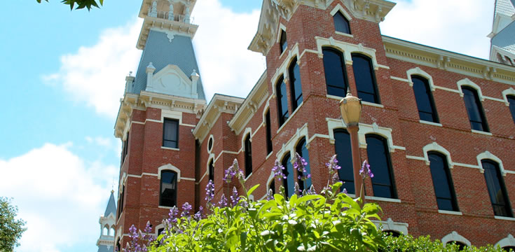 在线手机号轰炸软件