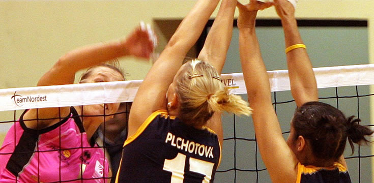 电话轰炸机网页版